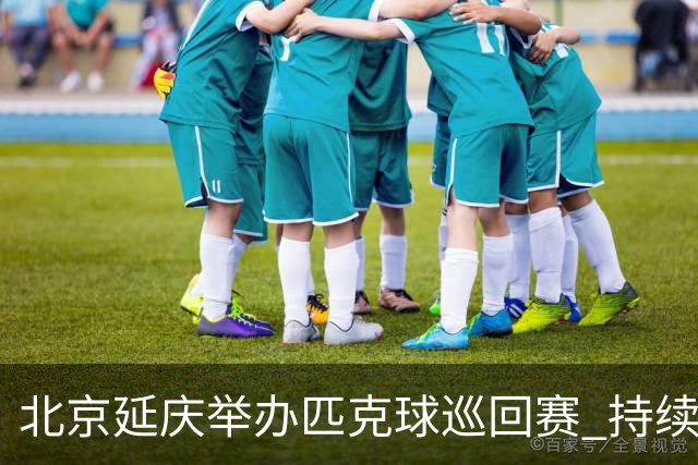 北京延庆举办匹克球巡回赛 持续擦亮户外运动城市名片